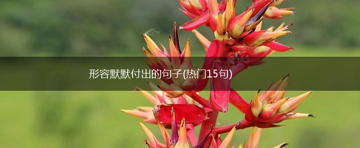 形容默默付出的句子(热门15句),第1张