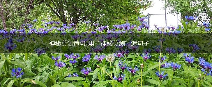 神秘莫测造句_用“神秘莫测”造句子,第1张