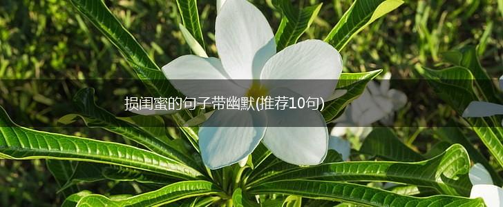 损闺蜜的句子带幽默(推荐10句),第1张