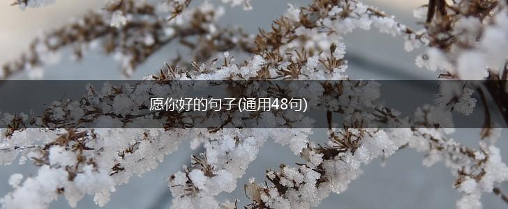 愿你好的句子(通用48句),第1张