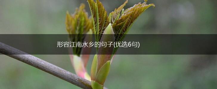 形容江南水乡的句子(优选6句),第1张