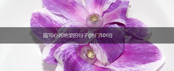 描写心死绝望的句子(热门50句),第1张