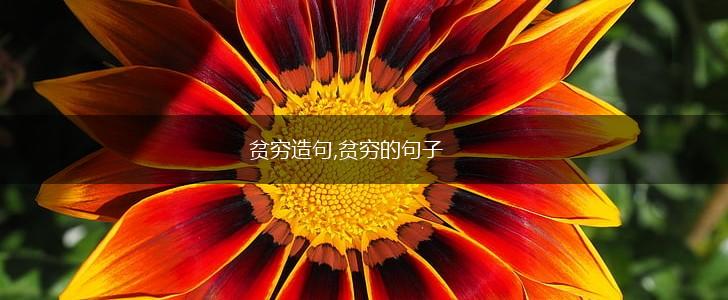 贫穷造句,贫穷的句子,第1张