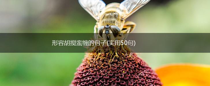 形容胡搅蛮缠的句子(实用50句),第1张