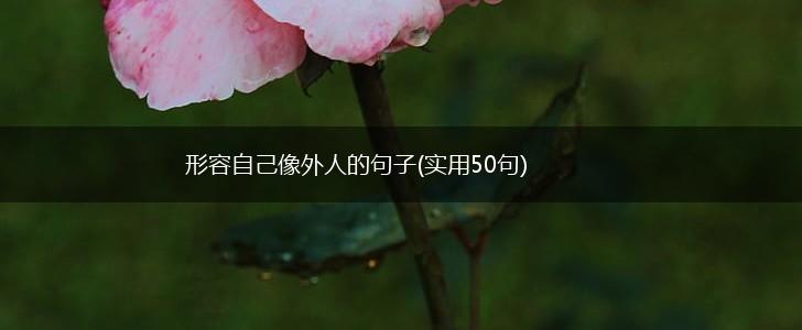 形容自己像外人的句子(实用50句),第1张