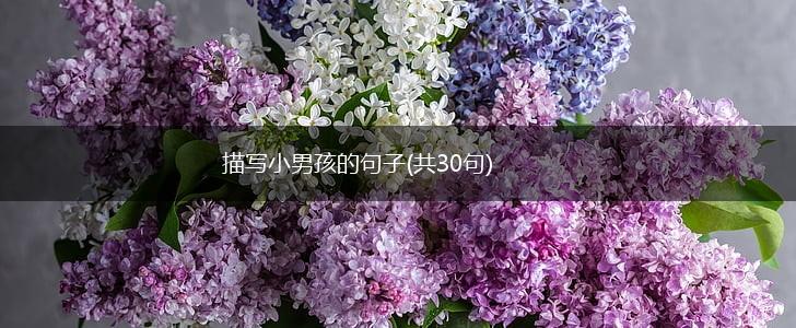 描写小男孩的句子(共30句),第1张