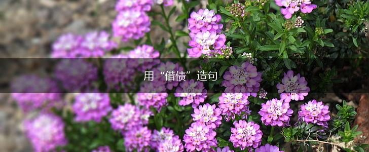 用“借债”造句,第1张