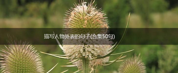 描写人物外表的句子(合集50句),第1张
