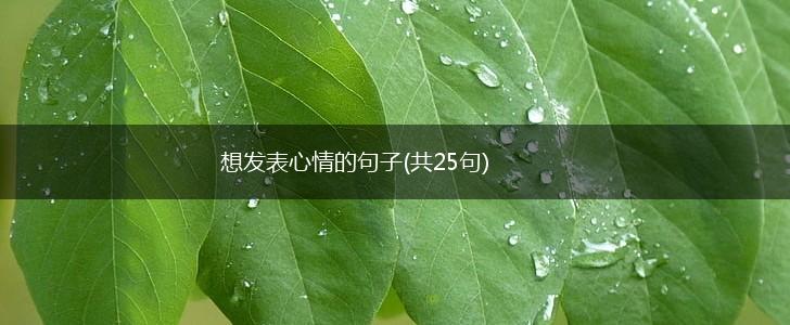 想发表心情的句子(共25句),第1张
