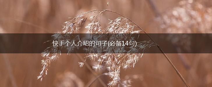 快手个人介绍的句子(必备14句),第1张