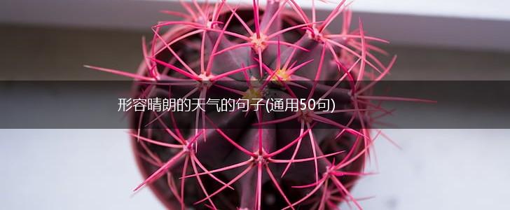 形容晴朗的天气的句子(通用50句),第1张