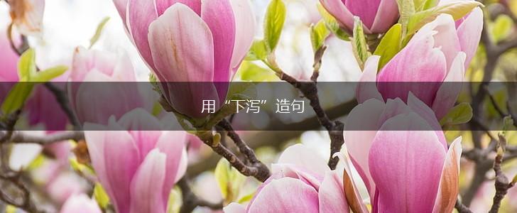 用“下泻”造句,第1张