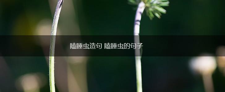瞌睡虫造句 瞌睡虫的句子,第1张
