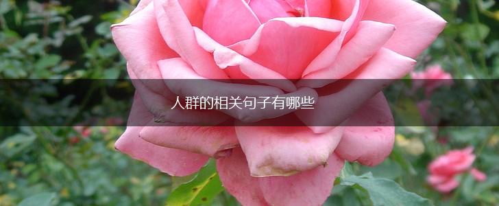 人群的相关句子有哪些,第1张