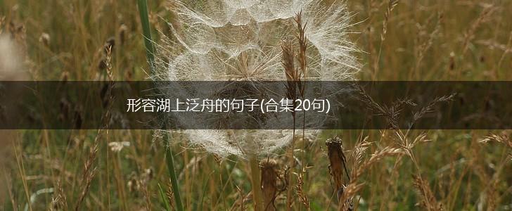 形容湖上泛舟的句子(合集20句),第1张