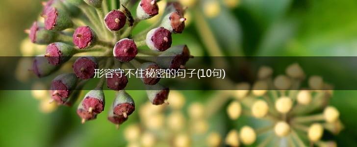 形容守不住秘密的句子(10句),第1张