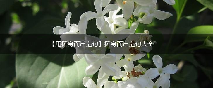 【用挺身而出造句】挺身而出造句大全,第1张