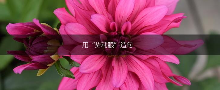 用“势利眼”造句,第1张