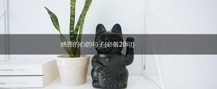 感恩的心的句子(必备20句),第1张
