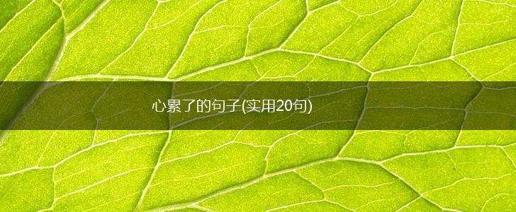 心累了的句子(实用20句),第1张