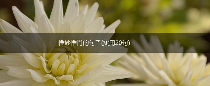 惟妙惟肖的句子(实用20句),第1张