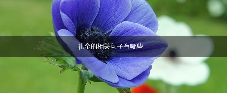 礼金的相关句子有哪些,第1张