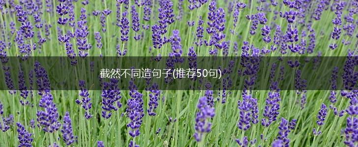截然不同造句子(推荐50句),第1张