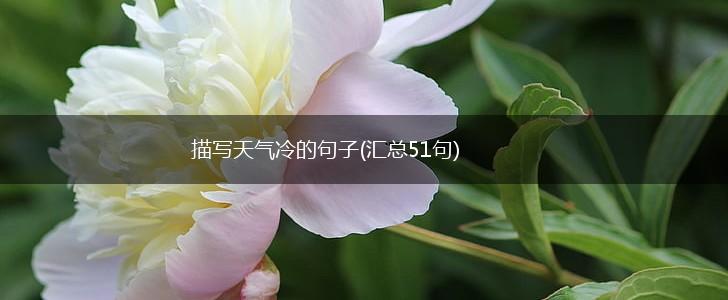 描写天气冷的句子(汇总51句),第1张