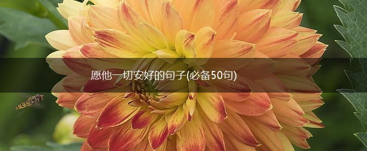愿他一切安好的句子(必备50句),第1张
