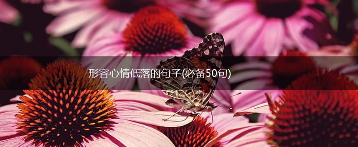形容心情低落的句子(必备50句),第1张