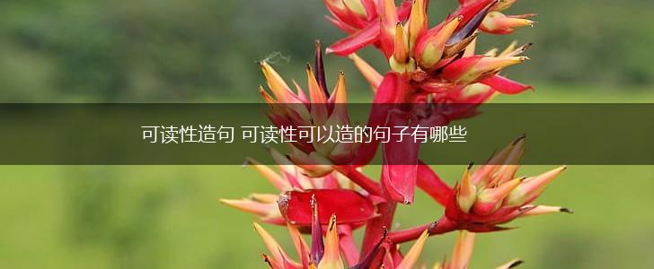 可读性造句 可读性可以造的句子有哪些,第1张