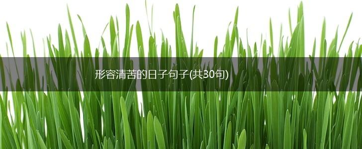 形容清苦的日子句子(共30句),第1张