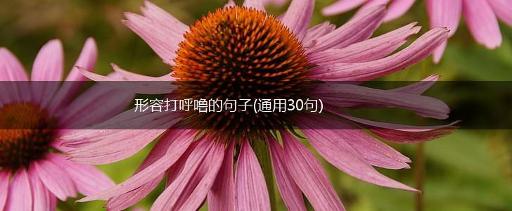形容打呼噜的句子(通用30句),第1张