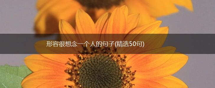形容很想念一个人的句子(精选50句),第1张