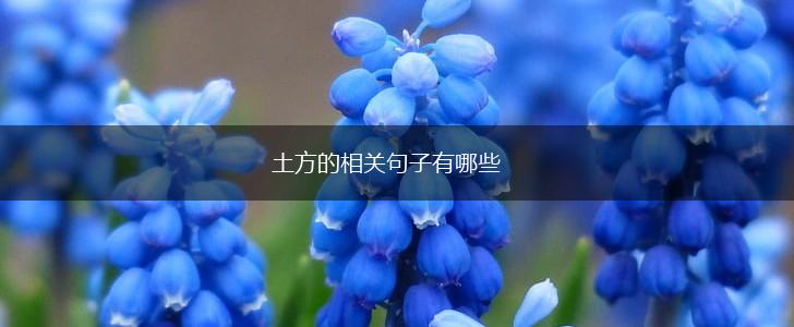 土方的相关句子有哪些,第1张