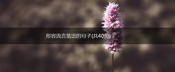 形容流言蜚语的句子(共40句),第1张