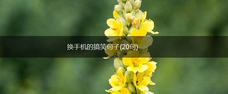 换手机的搞笑句子(20句),第1张