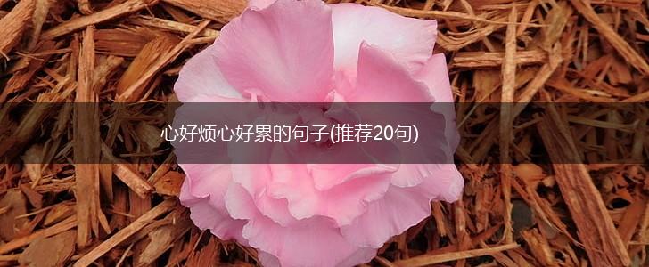心好烦心好累的句子(推荐20句),第1张