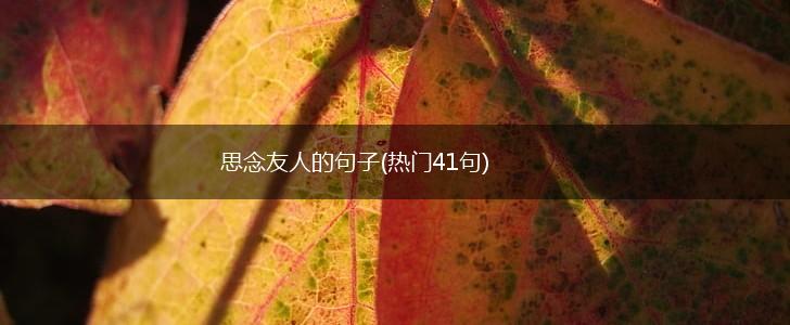 思念友人的句子(热门41句),第1张