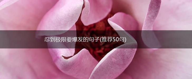忍到极限要爆发的句子(推荐50句),第1张