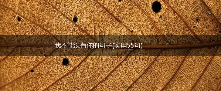 我不能没有你的句子(实用55句),第1张