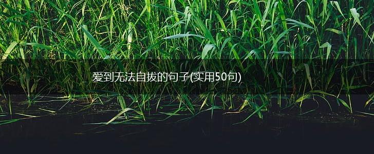 爱到无法自拔的句子(实用50句),第1张