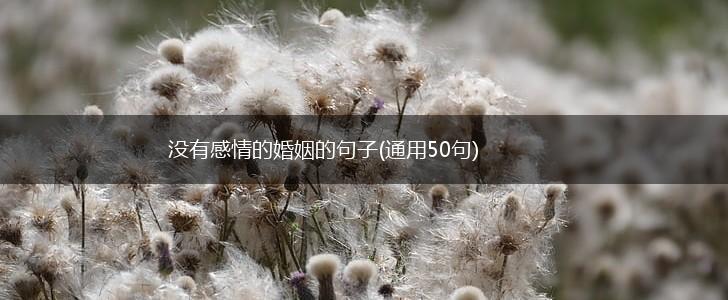 没有感情的婚姻的句子(通用50句),第1张