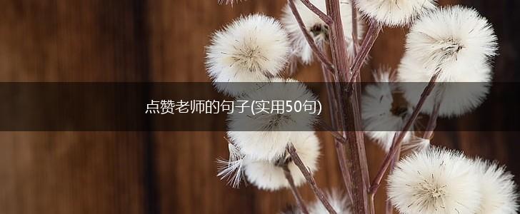 点赞老师的句子(实用50句),第1张