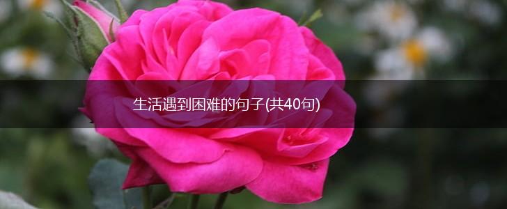 生活遇到困难的句子(共40句),第1张