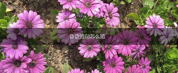 昏昏造句怎么造,第1张