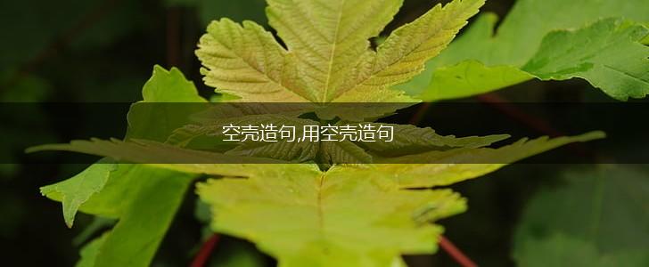 空壳造句,用空壳造句,第1张
