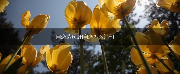 自恋造句,用自恋怎么造句,第1张