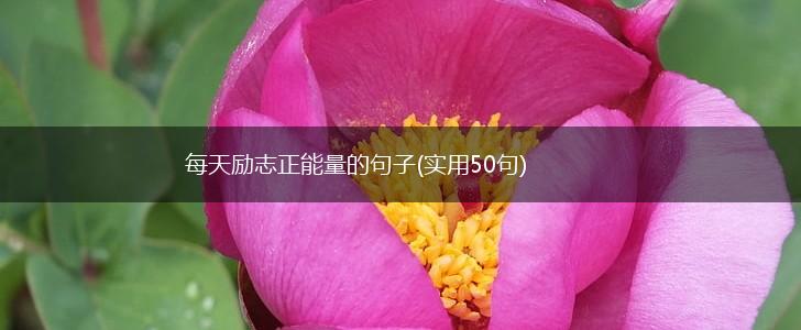 每天励志正能量的句子(实用50句),第1张
