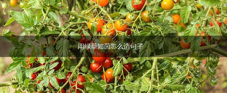用绿草如茵怎么造句子,第1张